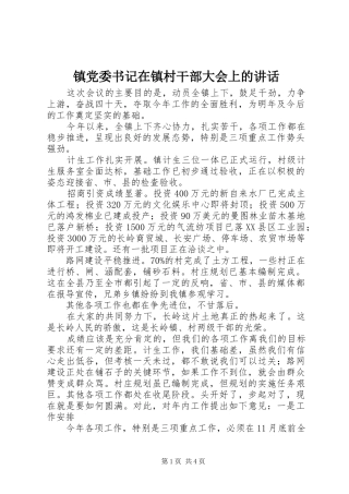 镇党委书记在镇村干部大会上的讲话发言