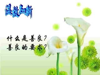 七年级上册(初中起始版)(2012年6月第6版)(通用)
