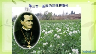 第三节基因的显性和隐性