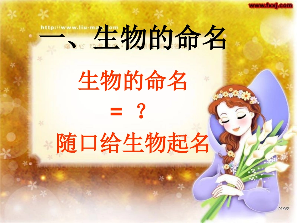 第1节生物的命名和分类_第3页