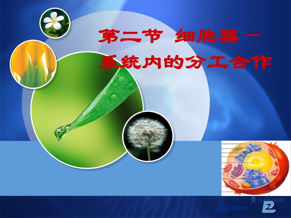 细胞质和细胞器_第1页