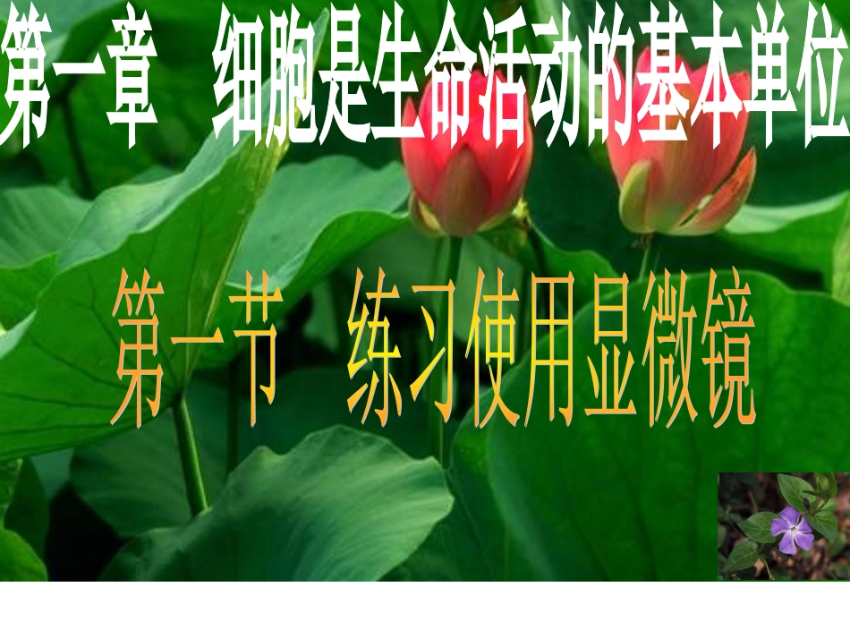 第1节练习使用显微镜_第2页