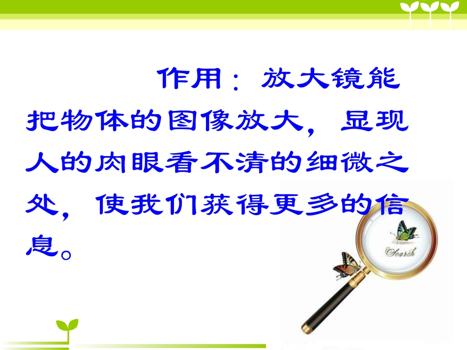 放大镜的特点_第2页