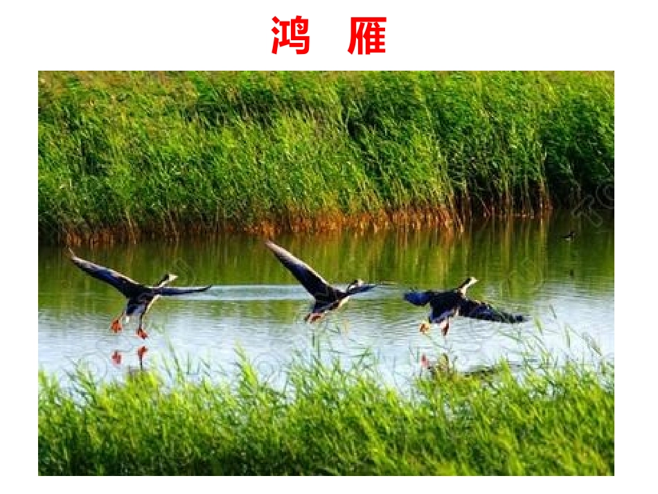 美丽的草原我的家-(2)_第2页