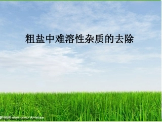 到实验室去：精盐中难溶性杂质的去除