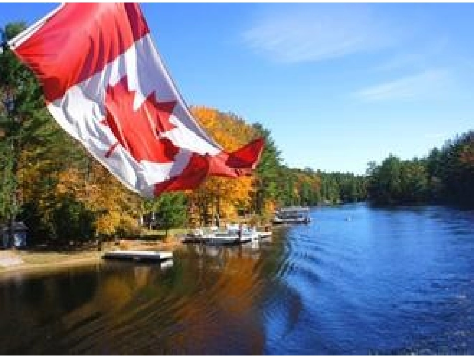 Lesson46HometoManyCultures-(2)_第3页