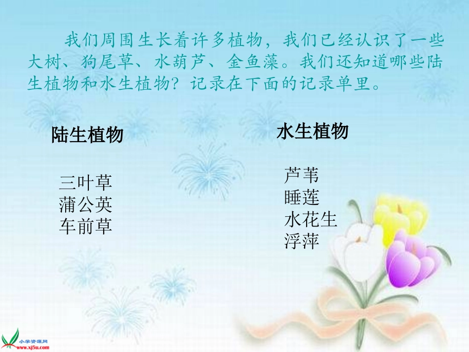 植物有哪些相同特点_第2页