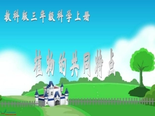 植物有哪些相同特点