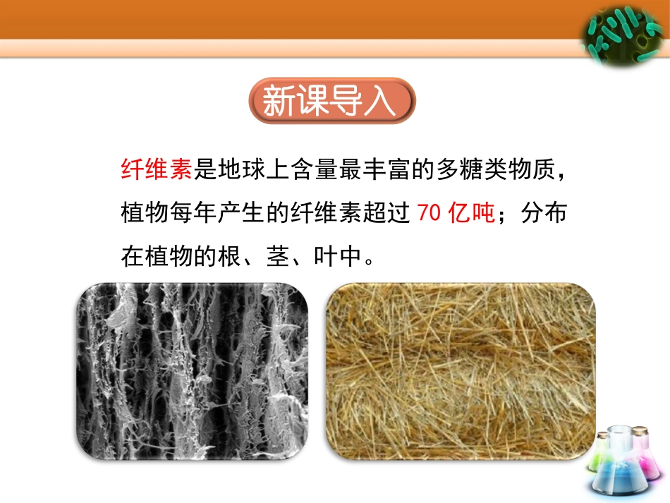 课题3-分解纤维素的微生物的分离_第1页