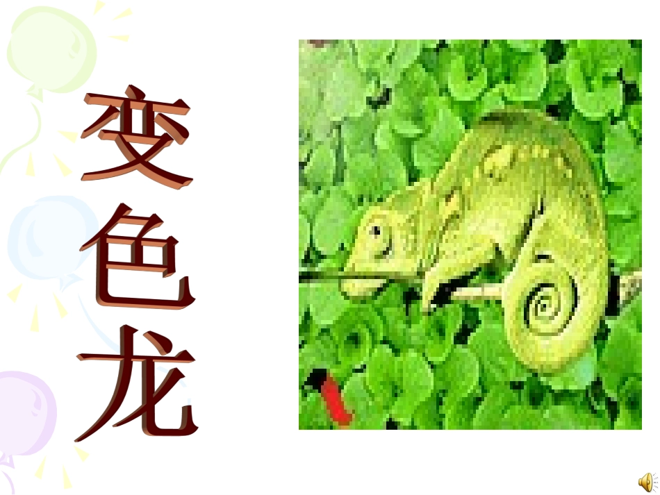 变色龙-(2)_第1页