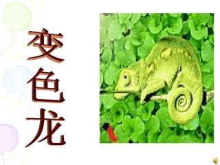 变色龙-(2)