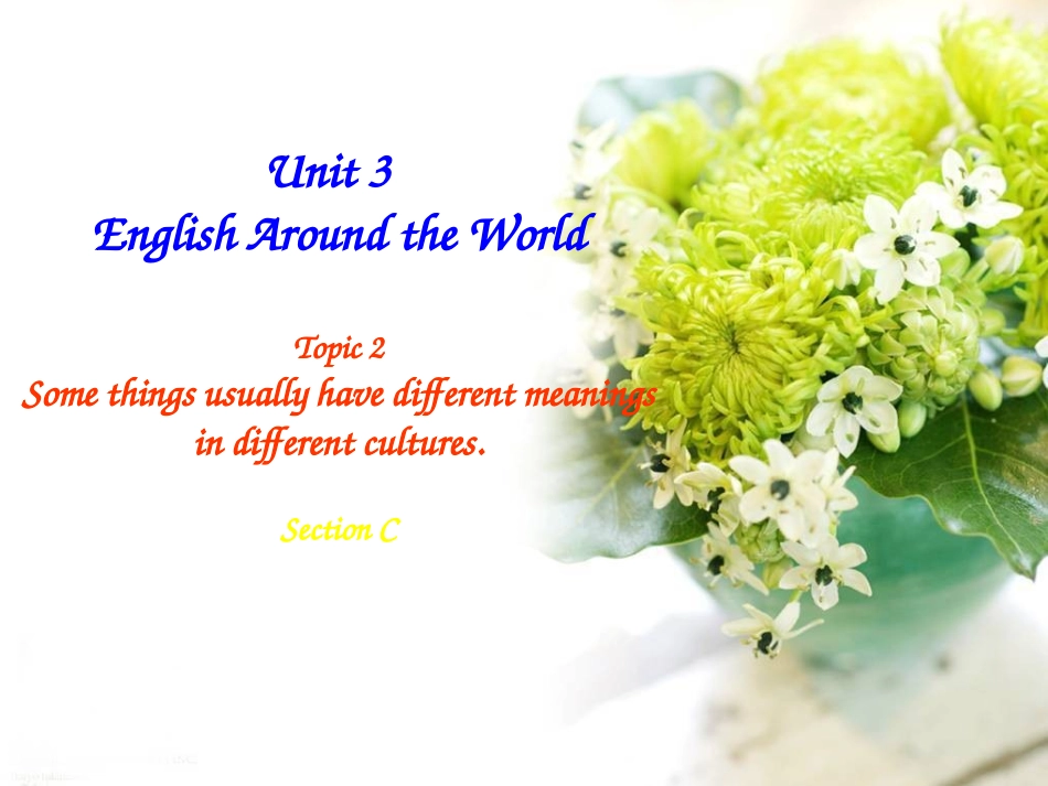 Some-things-usually-have-different-meanings-in-different-cultures._第1页