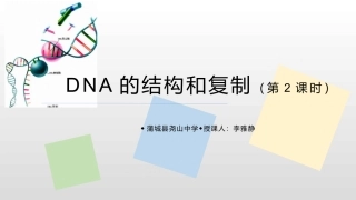 DNA分子的复制