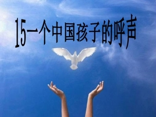 19一个中国孩子的呼声
