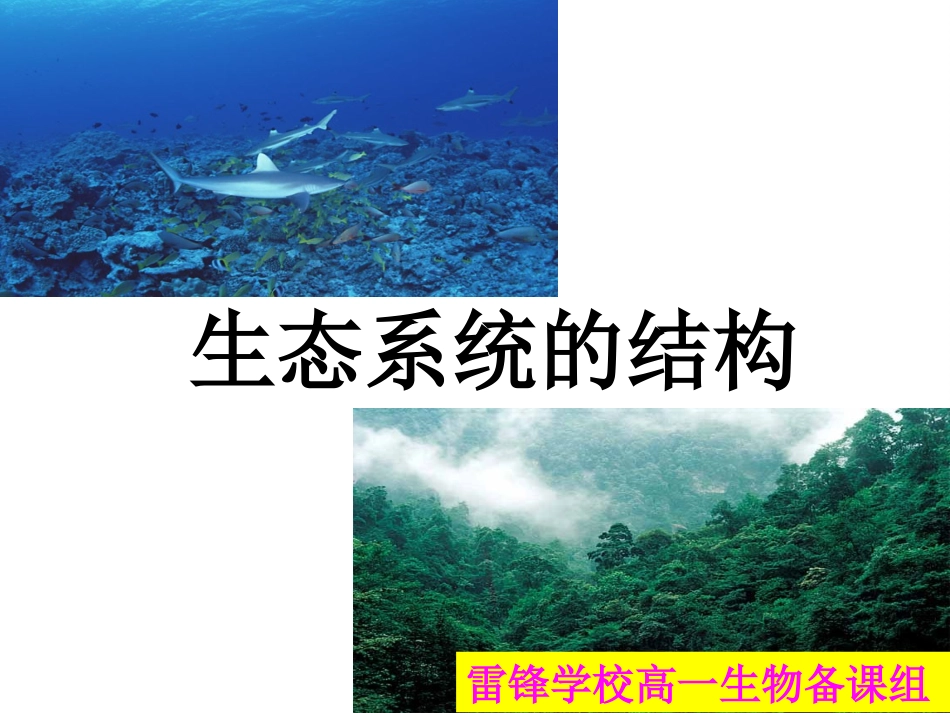 一生态系统的结构-(2)_第1页