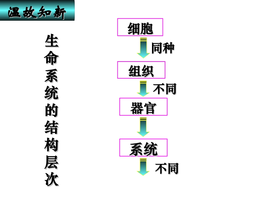 一生态系统的结构-(2)_第3页