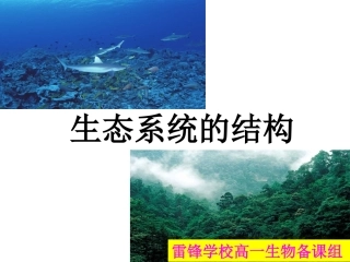 一生态系统的结构-(2)