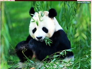 第三节四川盆地-(2)