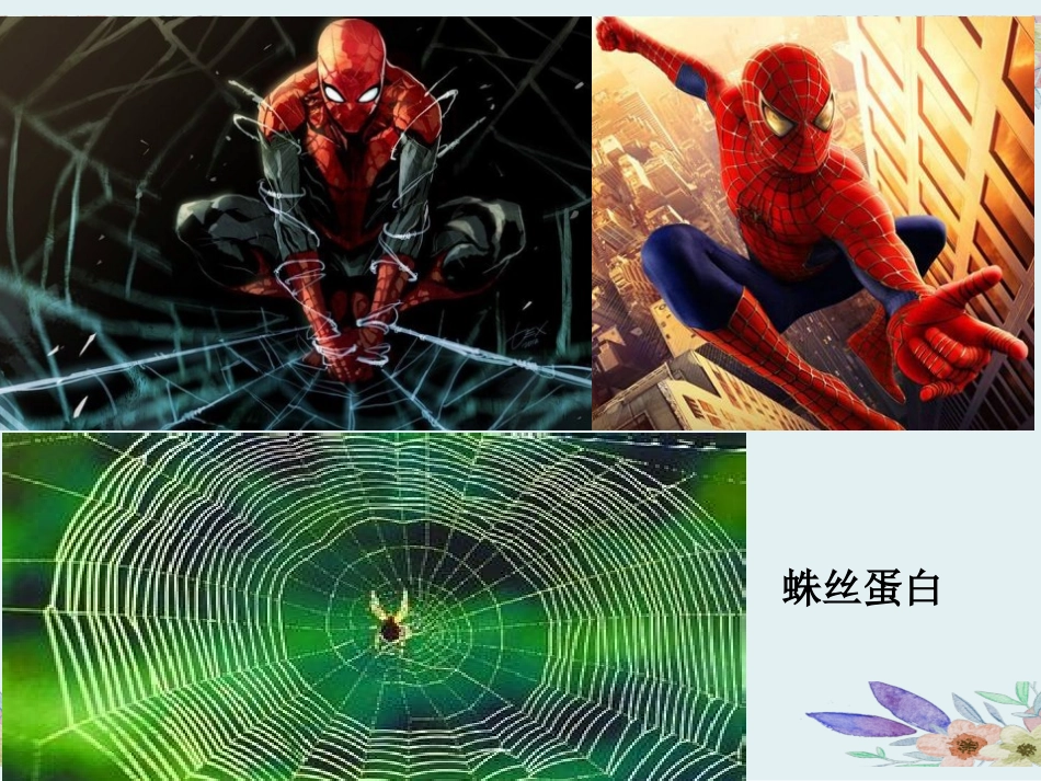 1.4-蛋白质工程的崛起_第1页