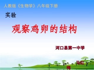 科学·技术·社会带你参观养鸡场