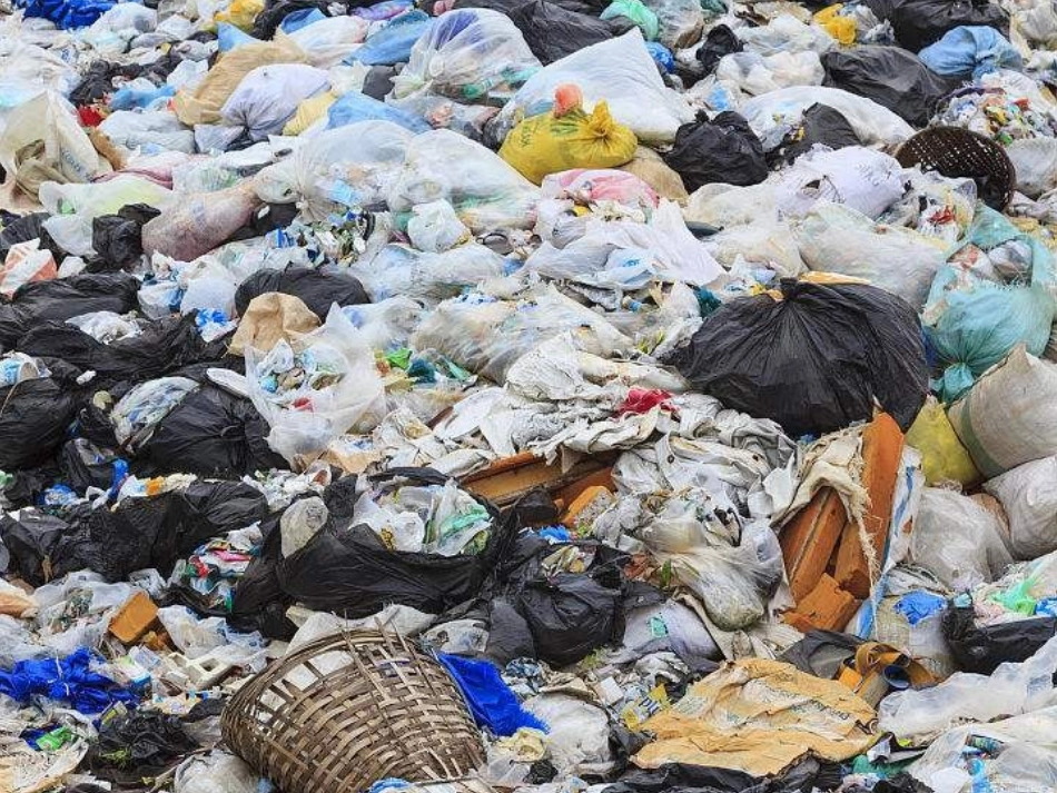 5绿色小卫士_第3页