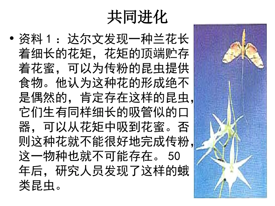 三-共同进化与生物多样性的形成-(2)_第2页