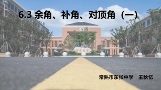 6.3余角、补角、对顶角-(2)