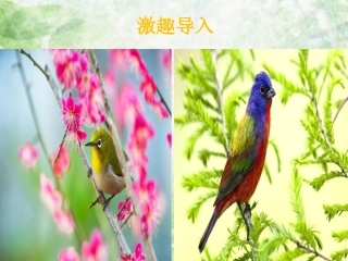 26父亲-树林和鸟