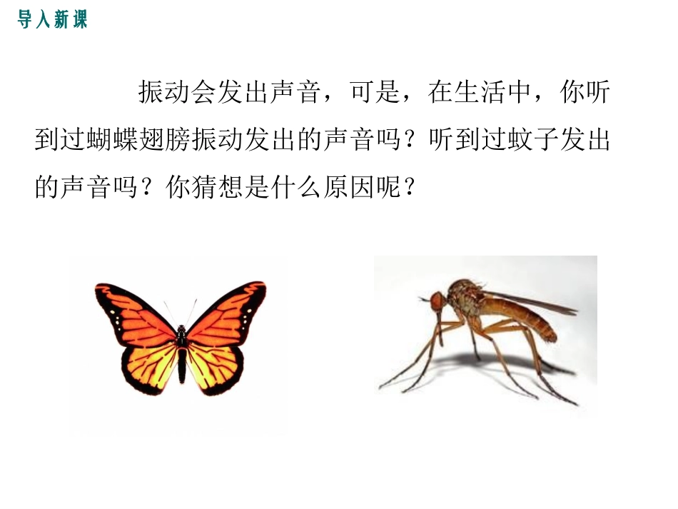 第三节超声与次声-(5)_第2页