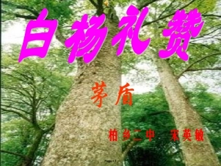 13白杨礼赞