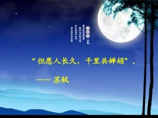 月下独酌-(2)