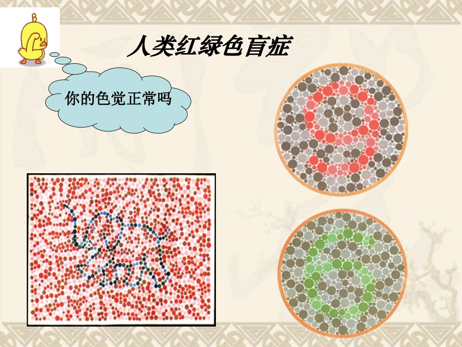 人教版必修二第二章第三节伴性遗传(共25张PPT)_第2页
