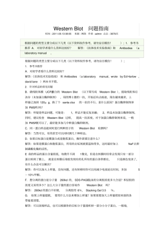 WB试验问题解读