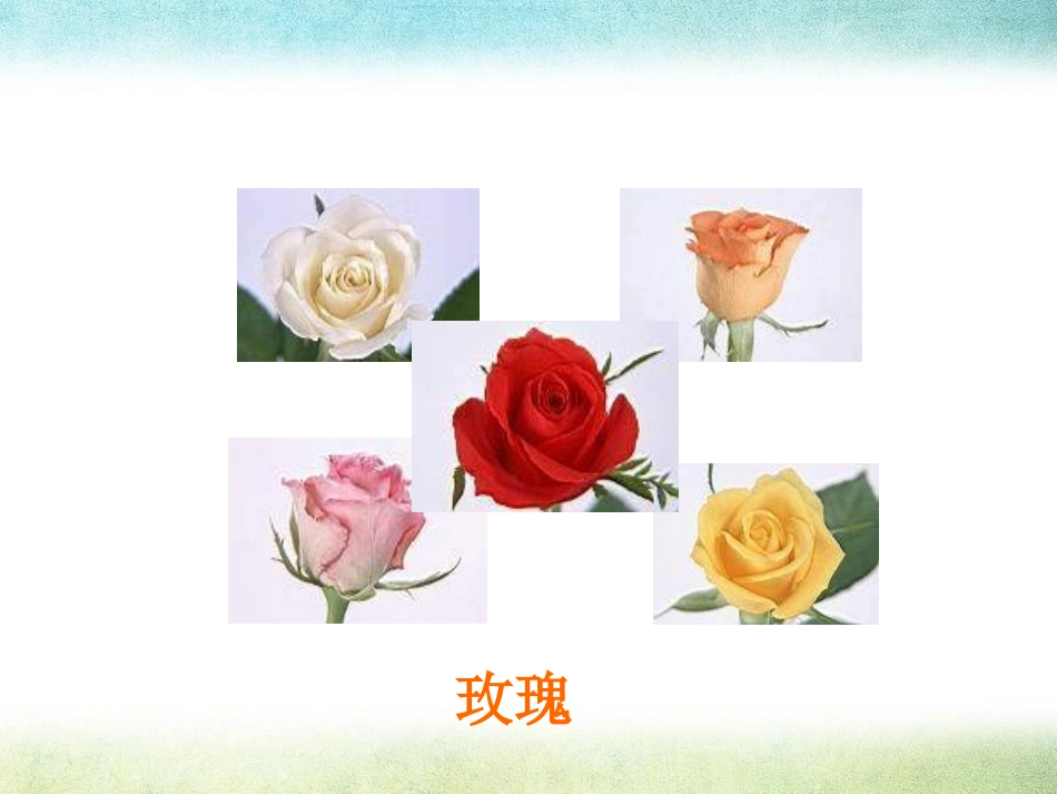 2生物的变异现象_第2页