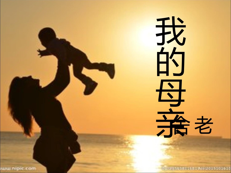 13我的母亲_第3页