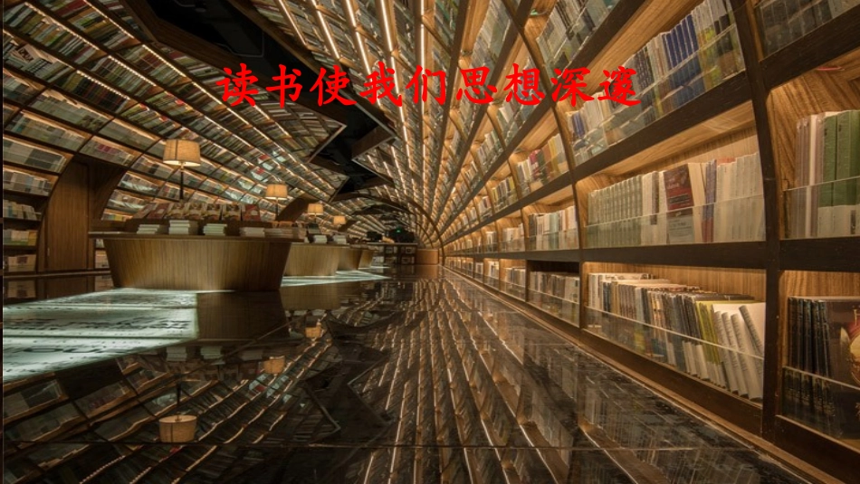 28斯塔笛的藏书_第1页