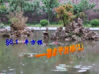 算术平方根.1算术-平方根(1)