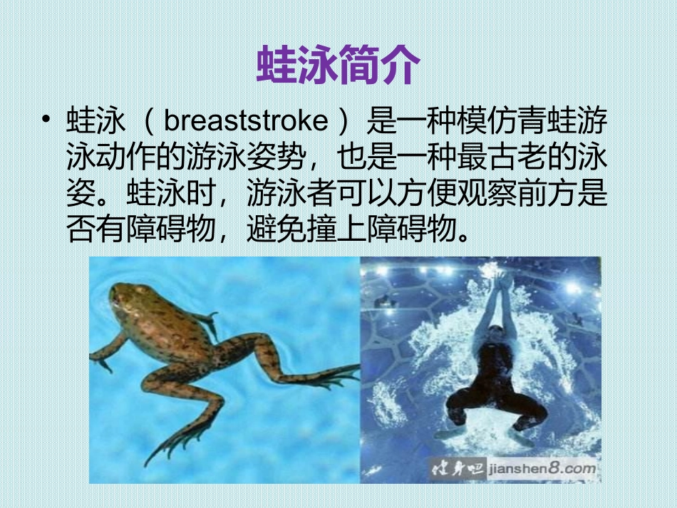 蛙泳完整动作_第3页
