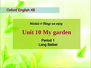 10Mygarden