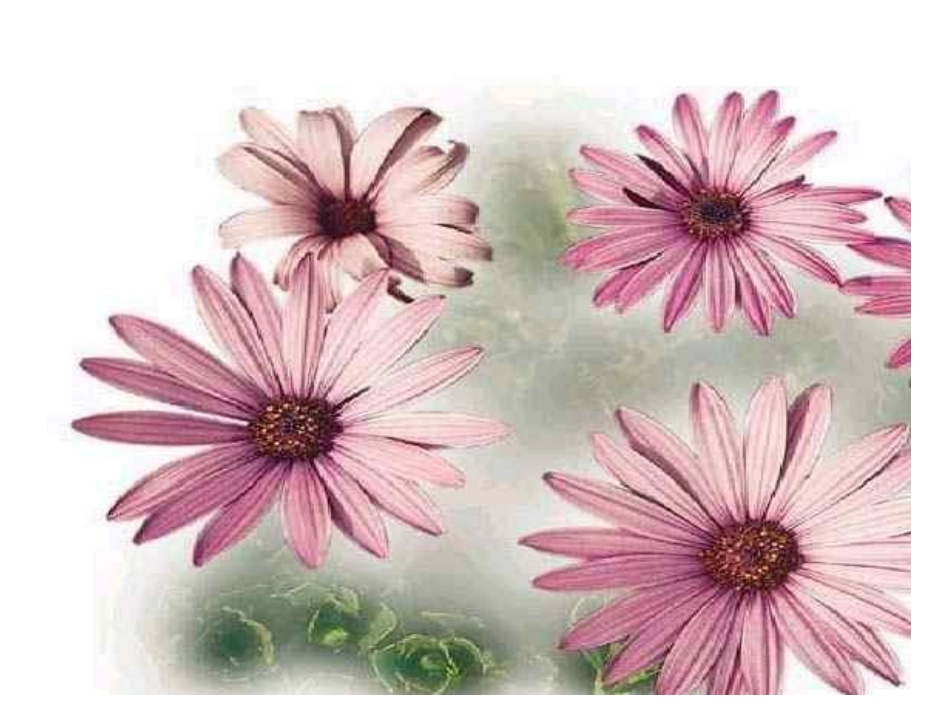 坡头初中郑传琦紫藤萝瀑布_第2页