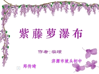坡头初中郑传琦紫藤萝瀑布