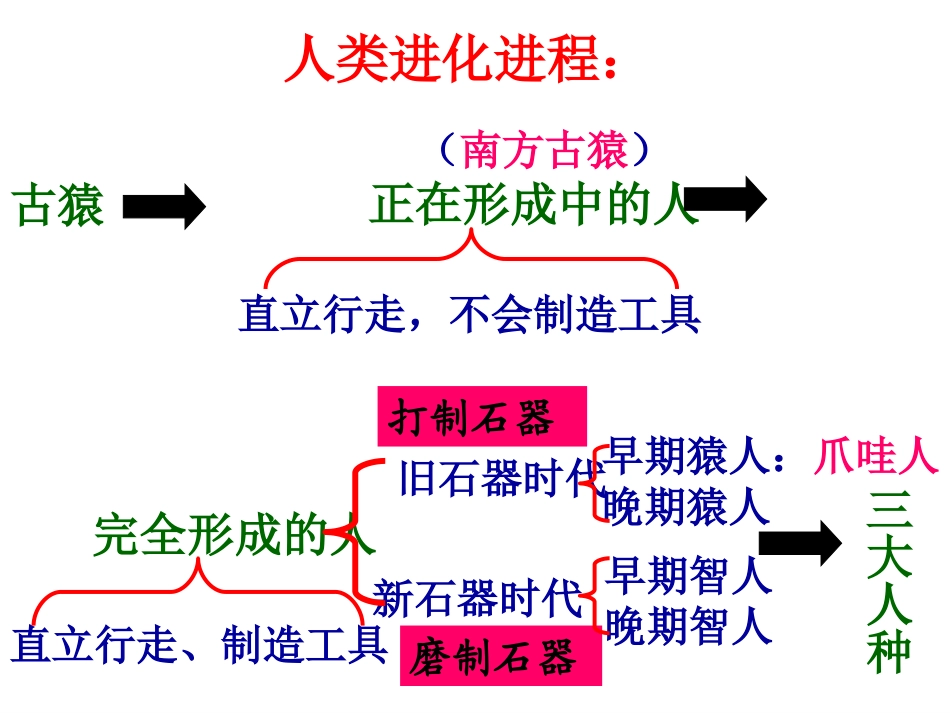 第1课原始社会_第3页