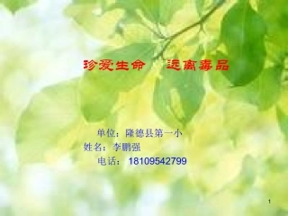 珍爱生命拒绝毒品——隆德县第一小学——李鹏强