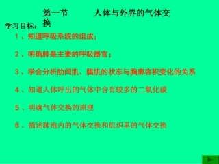 第六课时人体与外界的气体交换