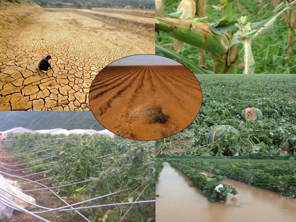 3.面对自然灾害_第2页