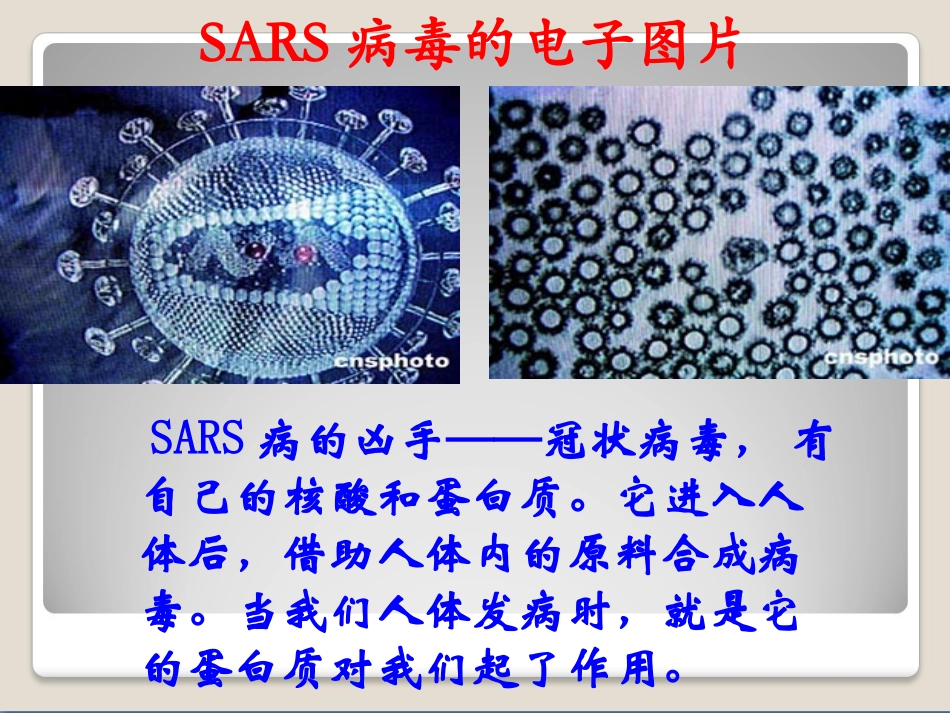 第三节-生命的基础——蛋白质-(3)_第2页