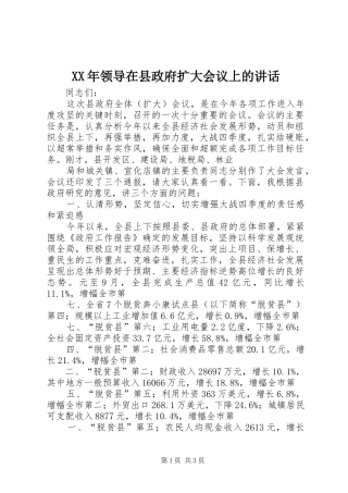 XX年领导在县政府扩大会议上的讲话发言