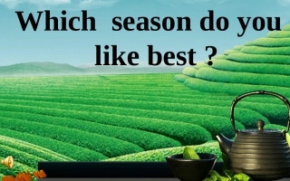 五年级上册lesson-6-Which-season-do-you-like-best