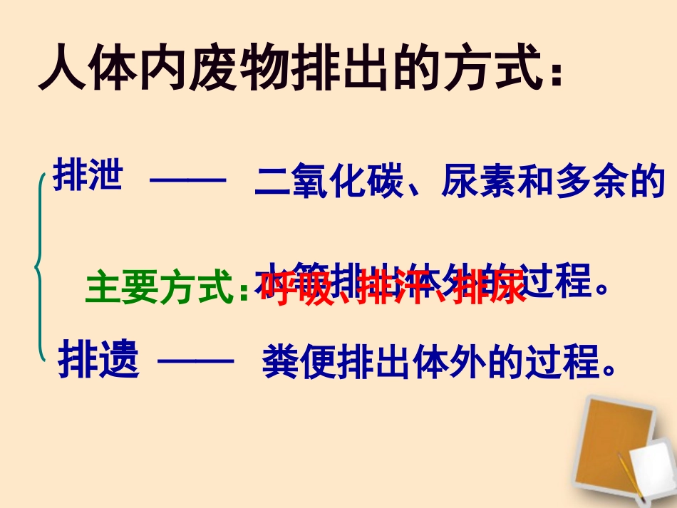 尿液的形成和排出_第3页