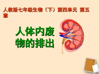 尿液的形成和排出